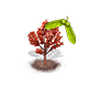 acergriseum_upgrade_0_big.png