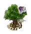 albero dei sigari xl.PNG