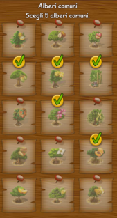 Albero raro_22.png