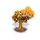 aloidendrondichotomum_upgrade_0_big.png