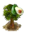avocado.PNG