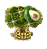avocado xxl.PNG