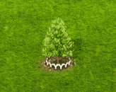 baldcypress_upgrade_1_big.gif