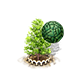 baldcypress_upgrade_1_big.png
