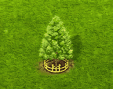 baldcypress_upgrade_2_big.gif
