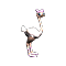 balletOstrich_small.png