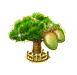 Baobab XXL.png