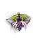 blackbatflower_small.png