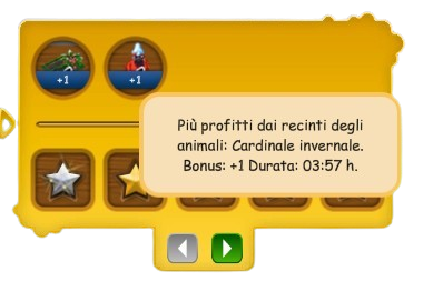 bonus.png