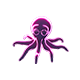 breedingjan2026octopus_big.png