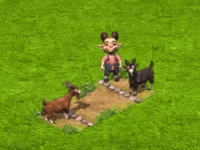 breedingqsep2026giver2m.gif