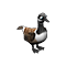 canadaGoose_small.png