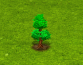 caryaovata_upgrade_0.gif