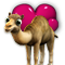 category_camel.png