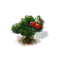 cherry_small.png