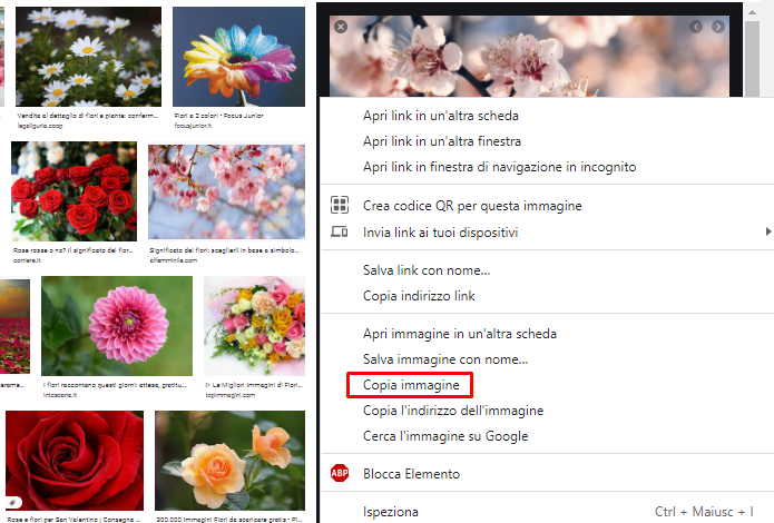 Chrome_5.png