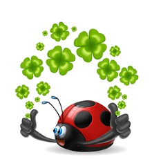 coccinella.png