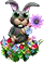 compoundmar2018flowers.png