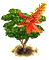 coraltree_upgrade_0.png