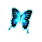 cyberButterfly_small.png