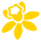 daffodil_icon_big.png