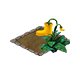 dailyqjun2026q1rubberbootplant_big.png