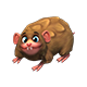 dalatgymnure_big.png