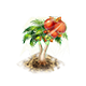 dicefarmingjul2026roystonea_upgrade_0_big.png