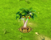 dicefarmingjul2026roystonea_upgrade_2.gif