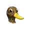 duck_small.png