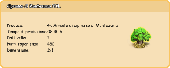 Finestra informativa Cipresso di Montezuma XXL definitiva.png