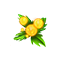 fireflyfeb2026glowberry_small.png