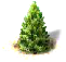 firtree.png