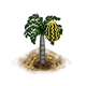 fishtailpalm_upgrade_0_big.png