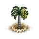 fishtailpalm_upgrade_1_big.png