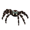 fmweekoct2024q3spider.png