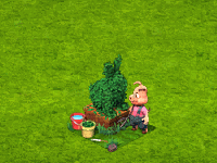 giftupdateapr2026topiary.gif
