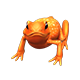 guanujostubfoot_big.png