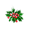 holidaymixdec2025mistletoeflower_small.png