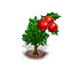 hollytree_upgrade_0_big.png