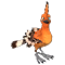 hoopoe.png