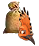 hoopoe_feed.png