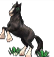 icoquest1654.png