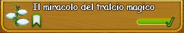 Il miracolo del tralcio magico_1.png