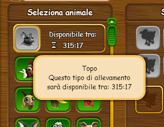 Immagine.png