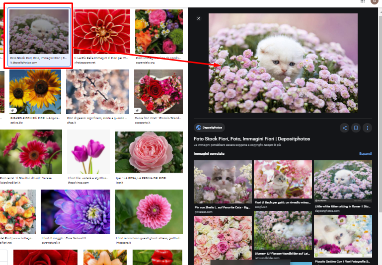 Immagini google.png