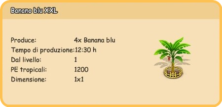 info banano blu XXl.png