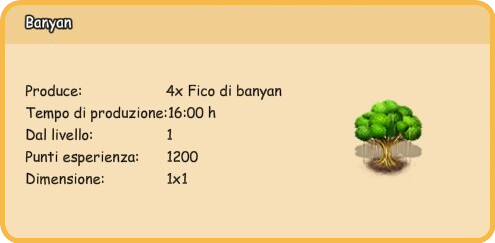 info banyan.png