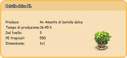 info betulla xl.png