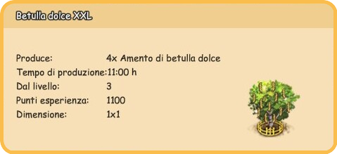 info betulla xxl.png